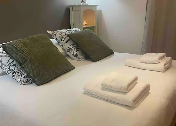 Appartement Spacieux Et Lumineux